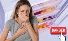 quali alimenti non si possono congelare